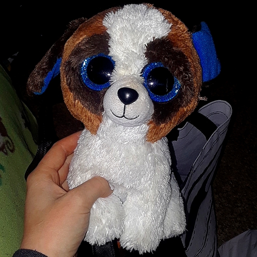 Beanie boo Duke the dog.